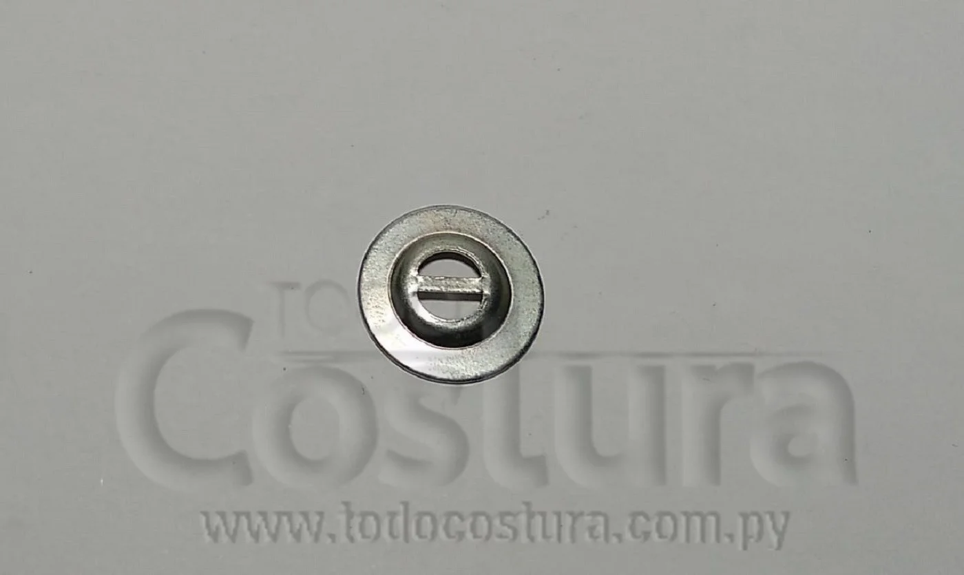 ABRE TENSOR RECTITA FAMILIAR