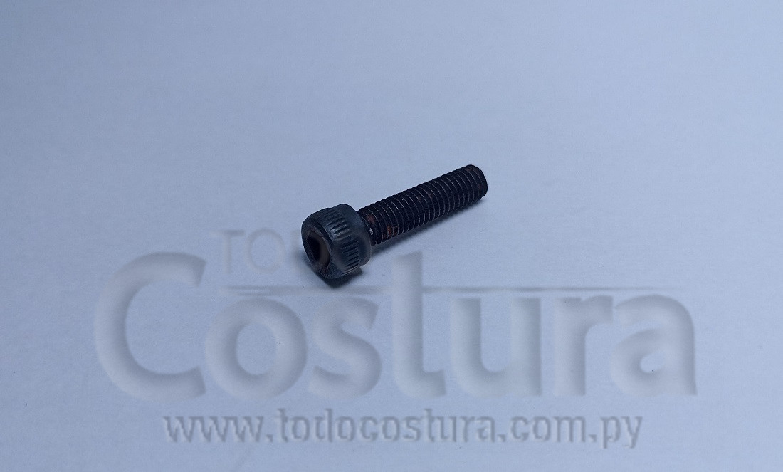 TORNILLO FIJ. SOPORTE DE PIVOTEO ALLEN M5 X 18M.M.  P/ PLANCHA BLANCAPRESS PROF-PCV