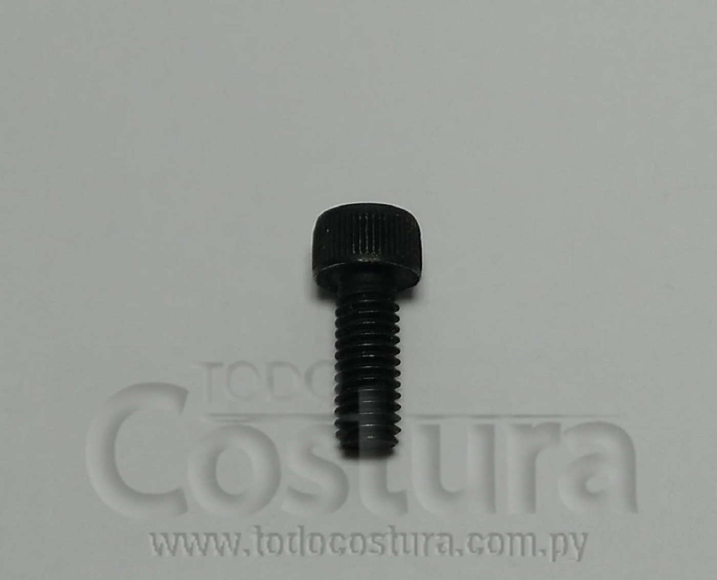 TORNILLO SUJ. DE TAPA FRONTAL COLLARETA SIRUBA F007K