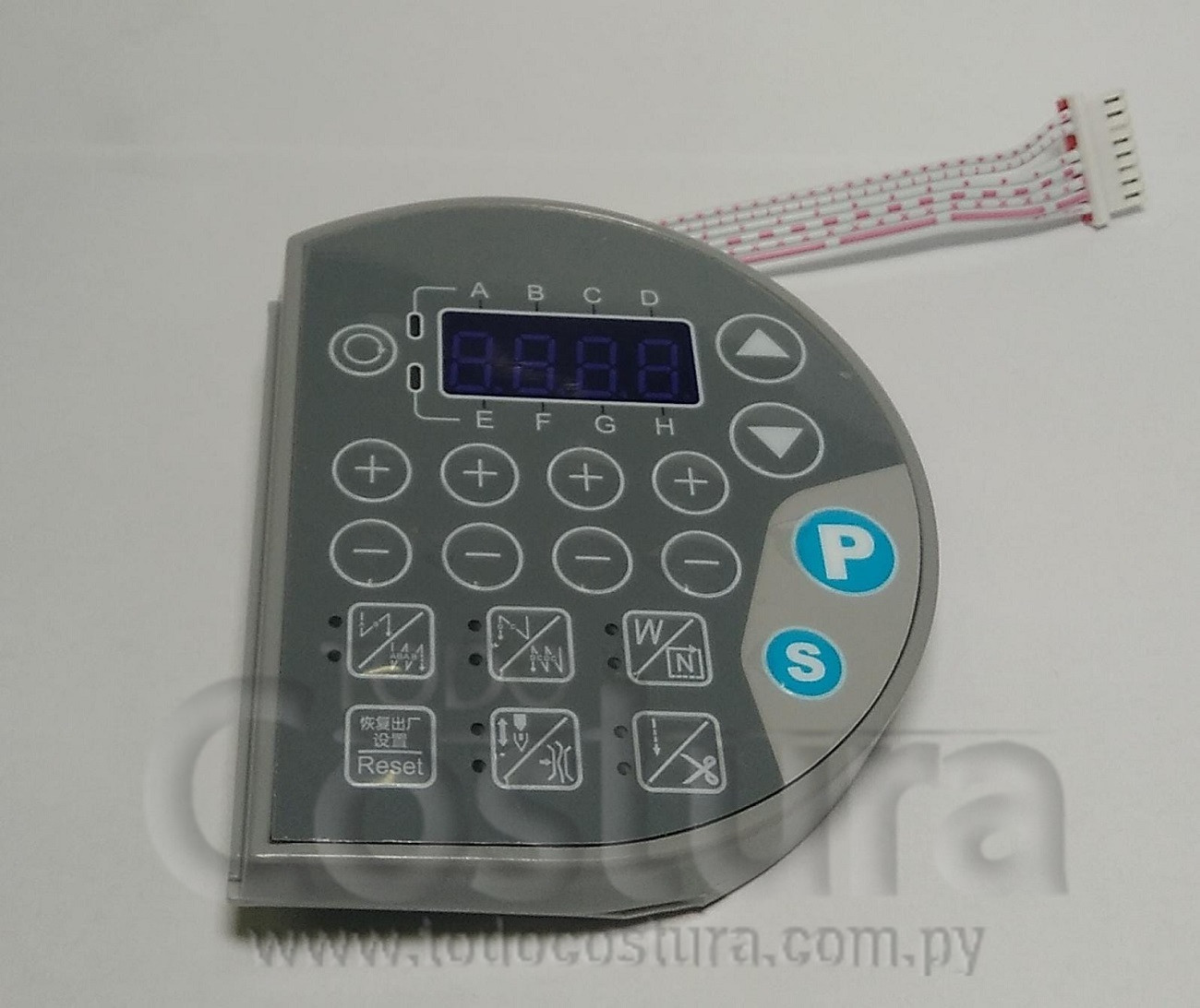 PANEL DIGITAL RECTA JACK A2S