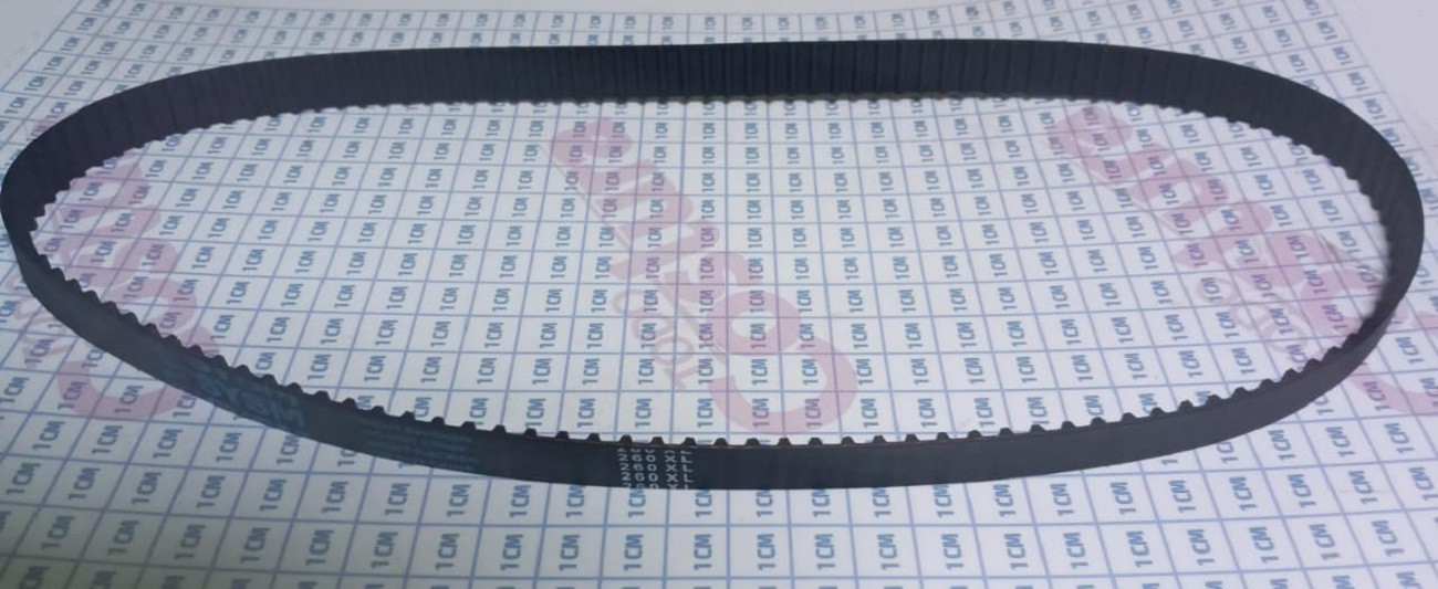 CORREA DENTADA 260XLX075 (19MM)